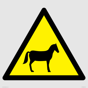 W506 Warning: Horses